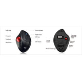 Adesso iMouse T30 Mouse - Radio Frequency - USB - Optical - 7 Button(s) - Black