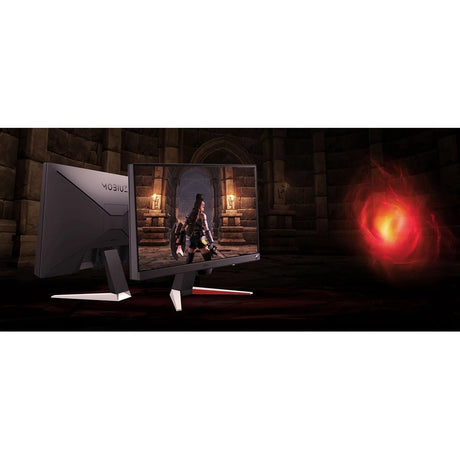 BenQ MOBIUZ EX240N 24" Class Full HD Gaming LCD Monitor - 16:9