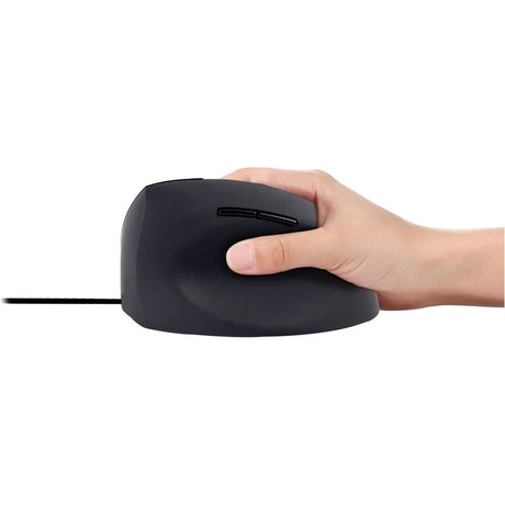 Urban Factory ERGO Mouse - USB Type A - Optical - 3 Button(s)