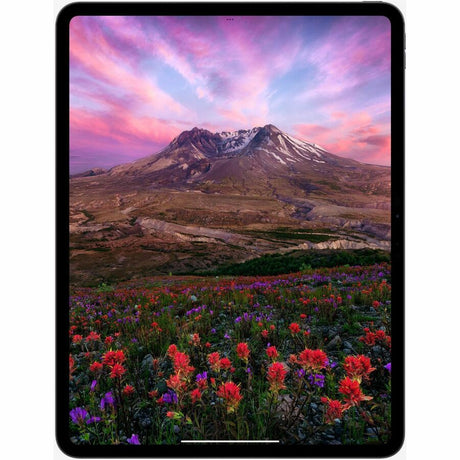 Apple iPad Pro (7th Generation) Tablet - 33 cm (13") - Apple M4 - 8 GB - 512 GB Storage - 5G - Silver