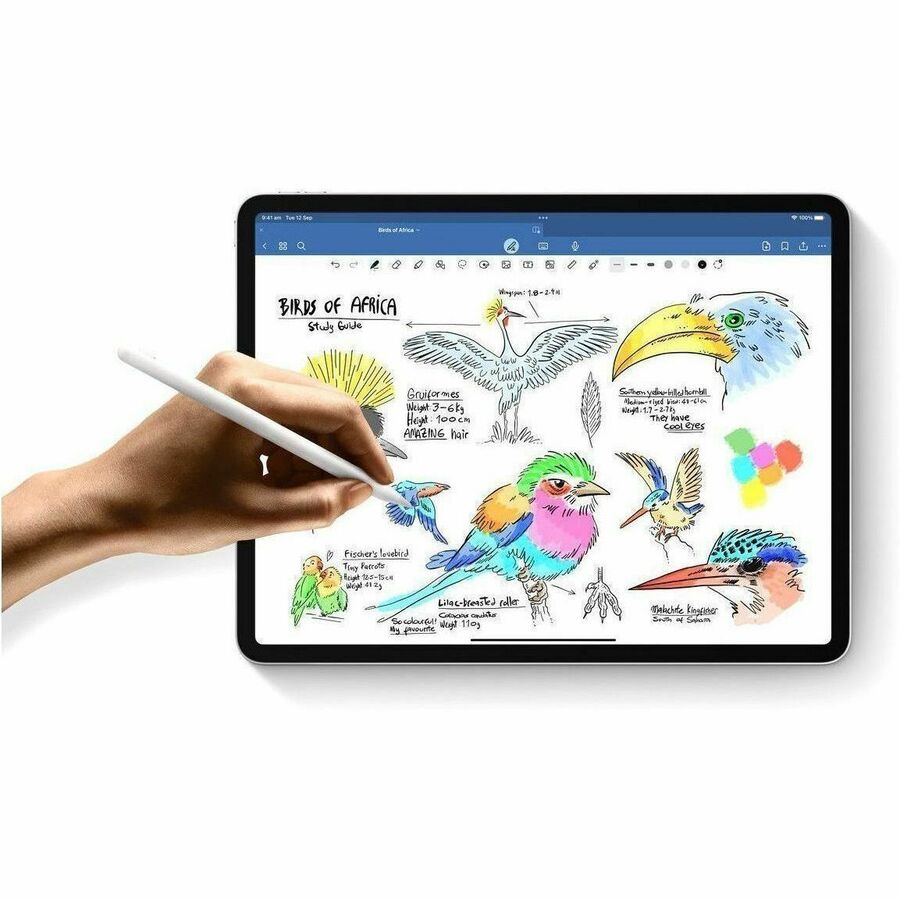Apple iPad Pro (7th Generation) A2926 Tablet - 33 cm (13") - Apple M4 - 16 GB - 2 TB Storage - 5G - Silver