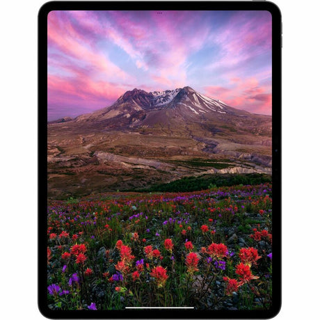 Apple iPad Pro (7th Generation) A2926 Tablet - 33 cm (13") - Apple M4 - 8 GB - 256 GB Storage - 5G - Space Black