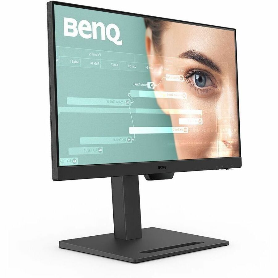 BenQ GW2490T 24" Class Full HD LED Monitor - 16:9