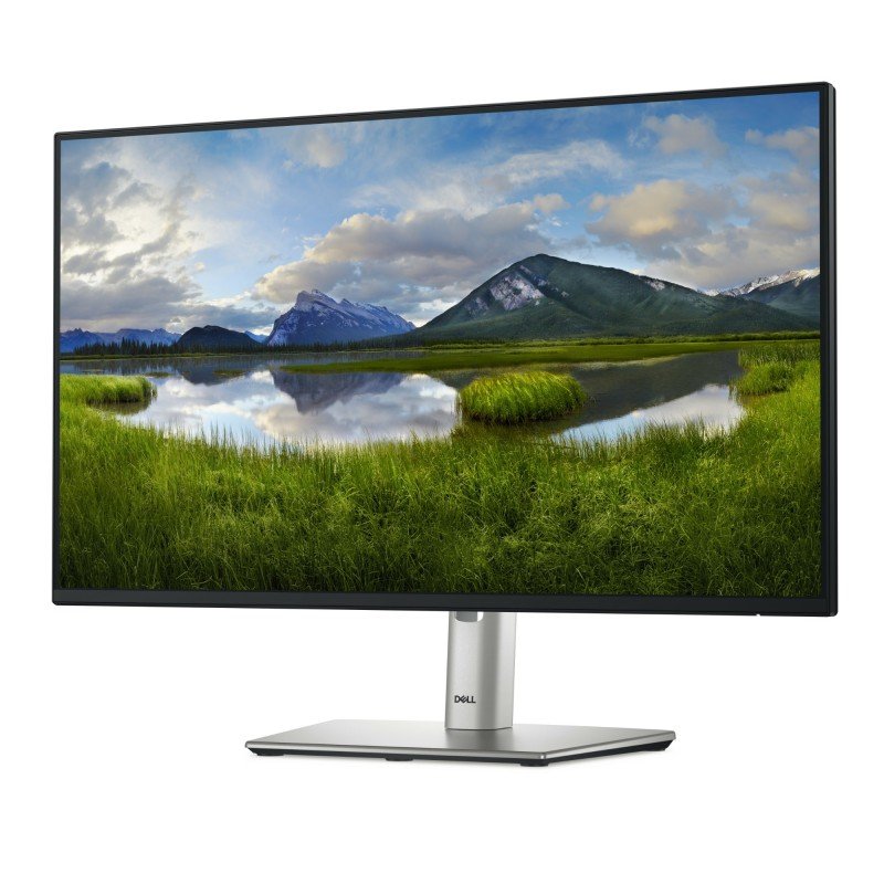 Dell P2425H 24" Class Full HD LED Monitor