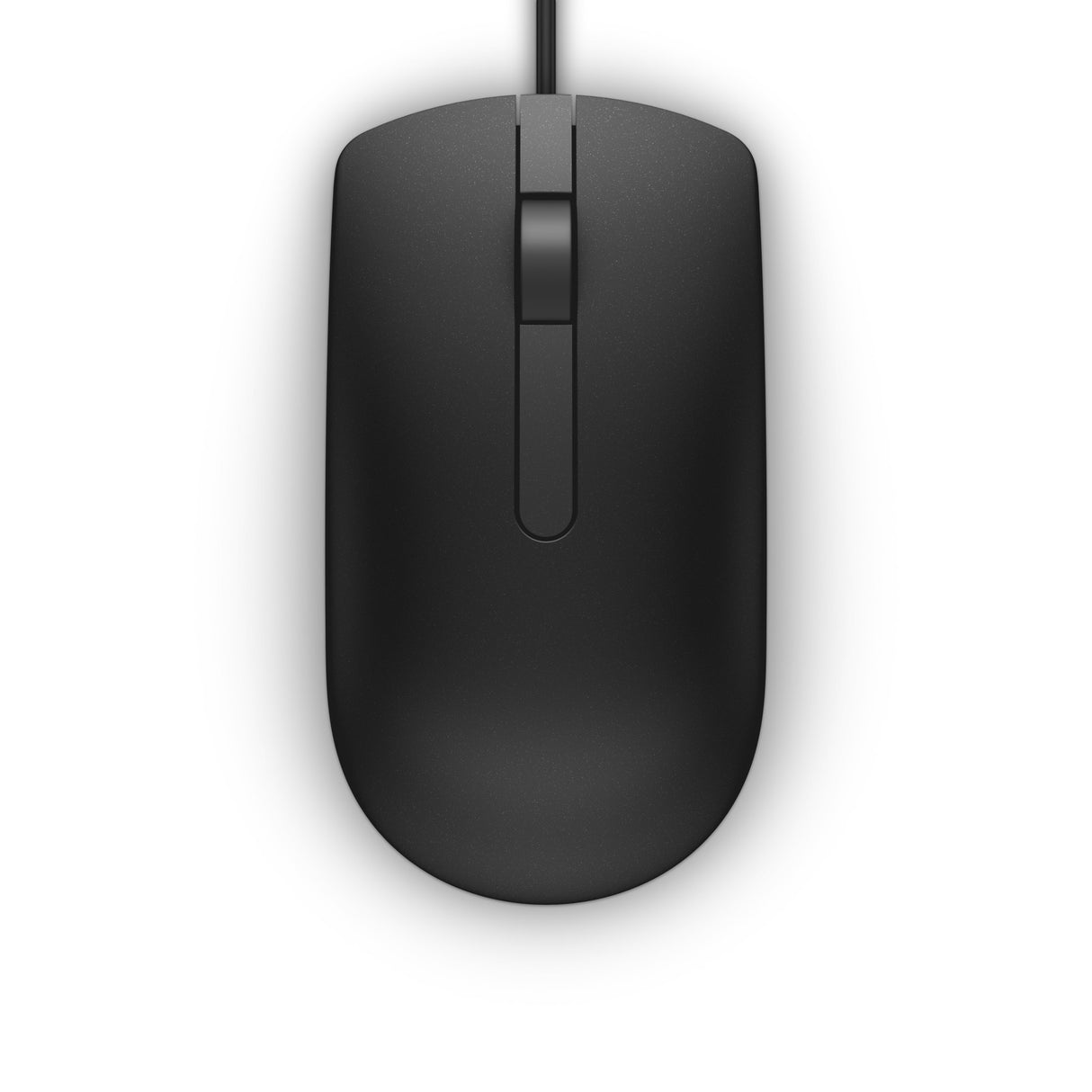 DELL MS116 mouse Ambidextrous USB Type-A Optical 1000 DPI